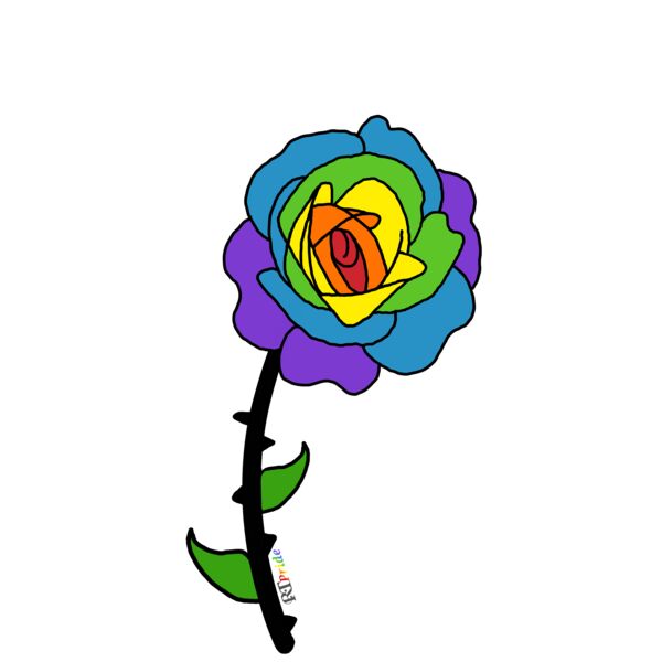 Rainbow rose Thumbnail