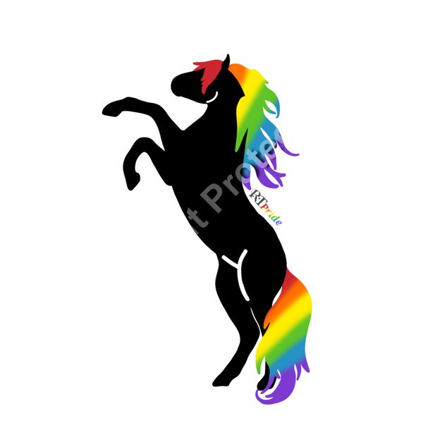 Silhouette rearing horse, Rainbow tail Thumbnail