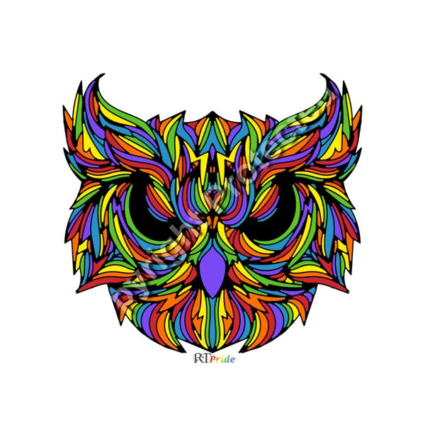  Rainbow owl head Thumbnail