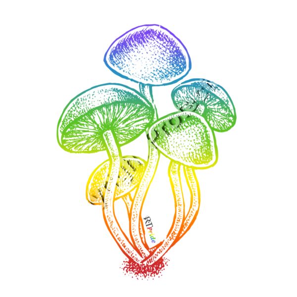 Rainbow mushrooms Thumbnail