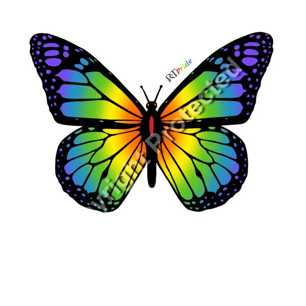 Rainbow butterfly, realistic Thumbnail
